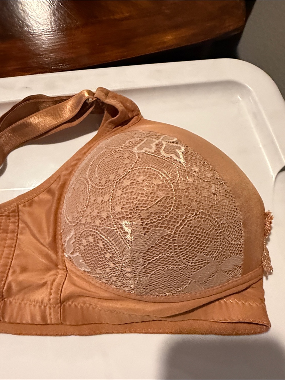 Prima Ventura Women's Seamless Bra in Tan